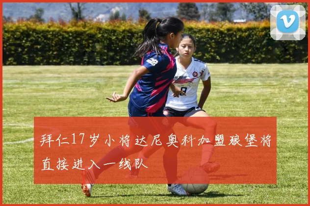 拜仁17岁小将达尼奥科加盟狼堡将直接进入一线队