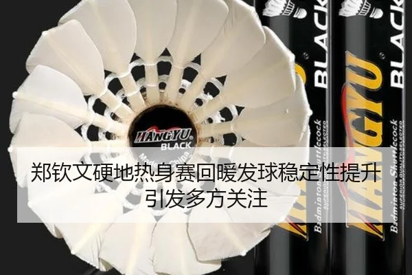 郑钦文硬地热身赛回暖发球稳定性提升引发多方关注